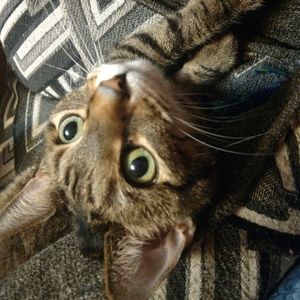 Meet your Posher, Tammy